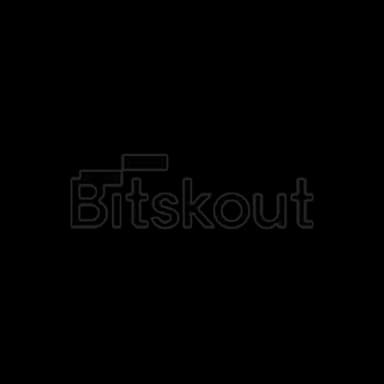 Bitskout logo