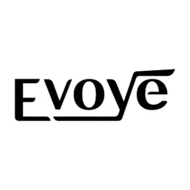 Evoye Business & Technology Consulting logo