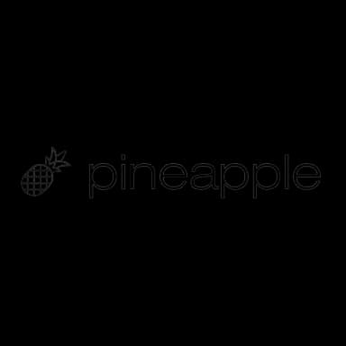 Pineapple Builder logo