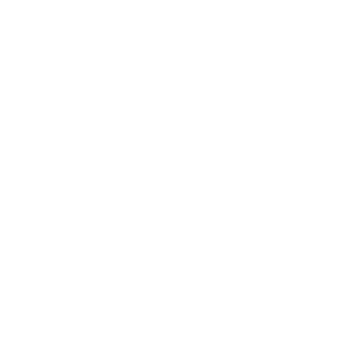 AIdentical logo